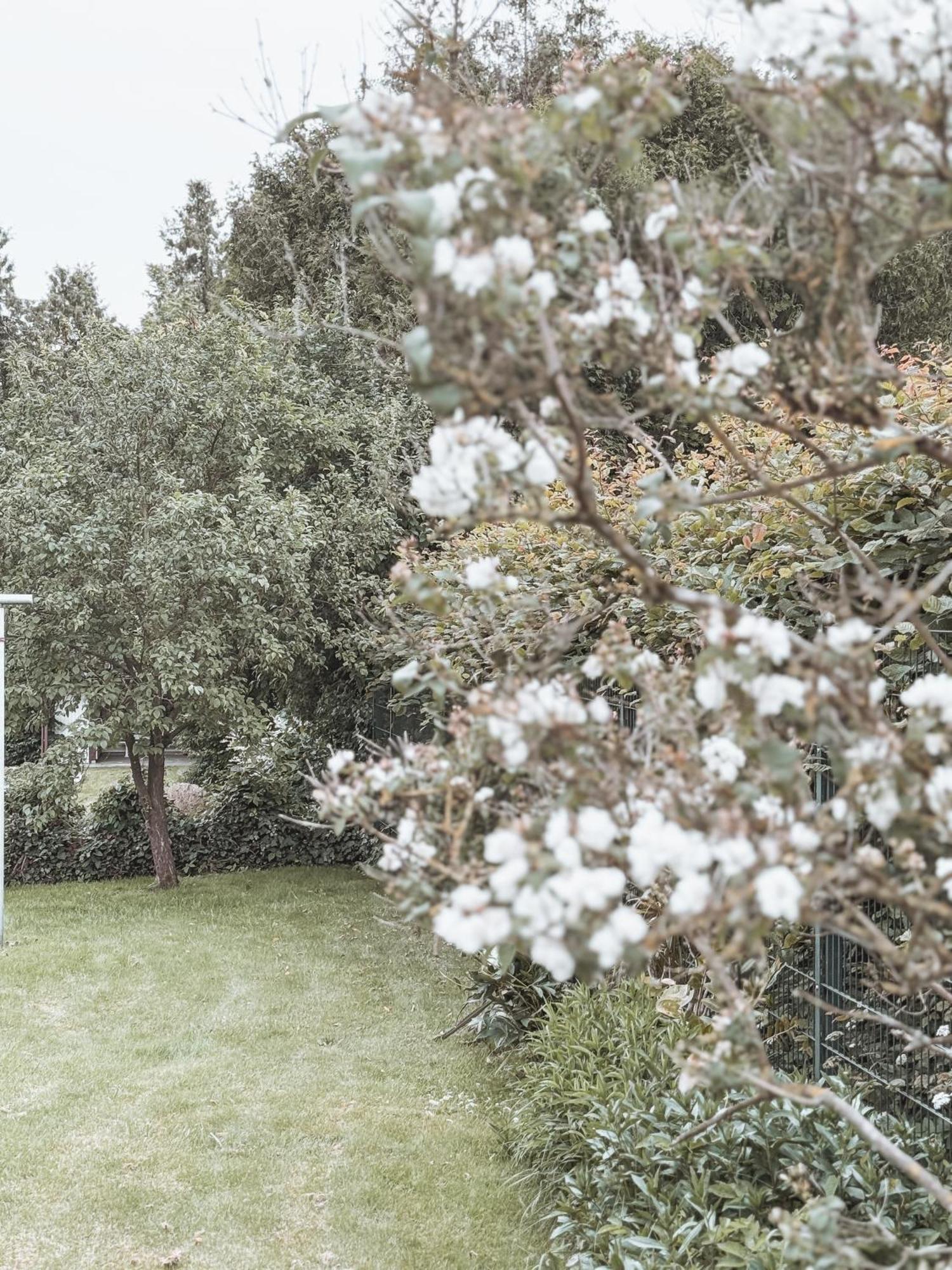 Bohemian Suite - Detmold Dış mekan fotoğraf